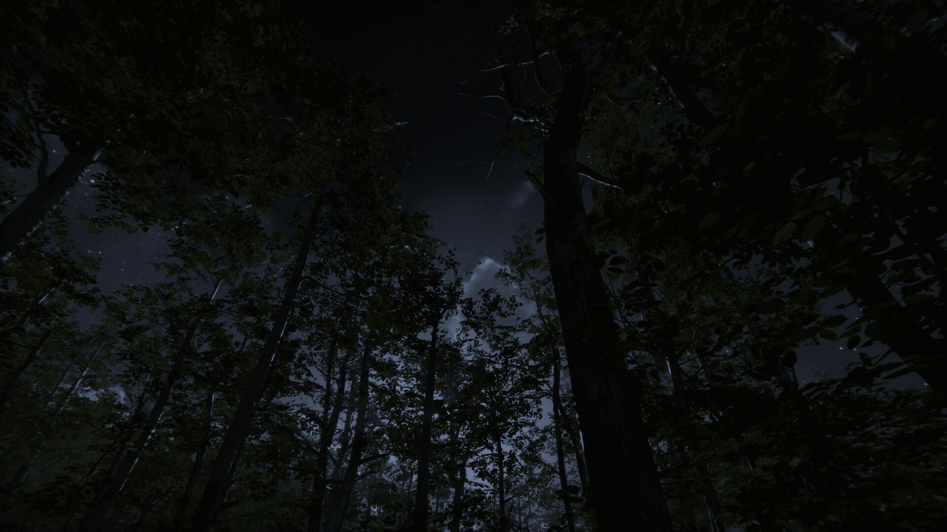Camping Vlog Simulator 2024 screenshot 4